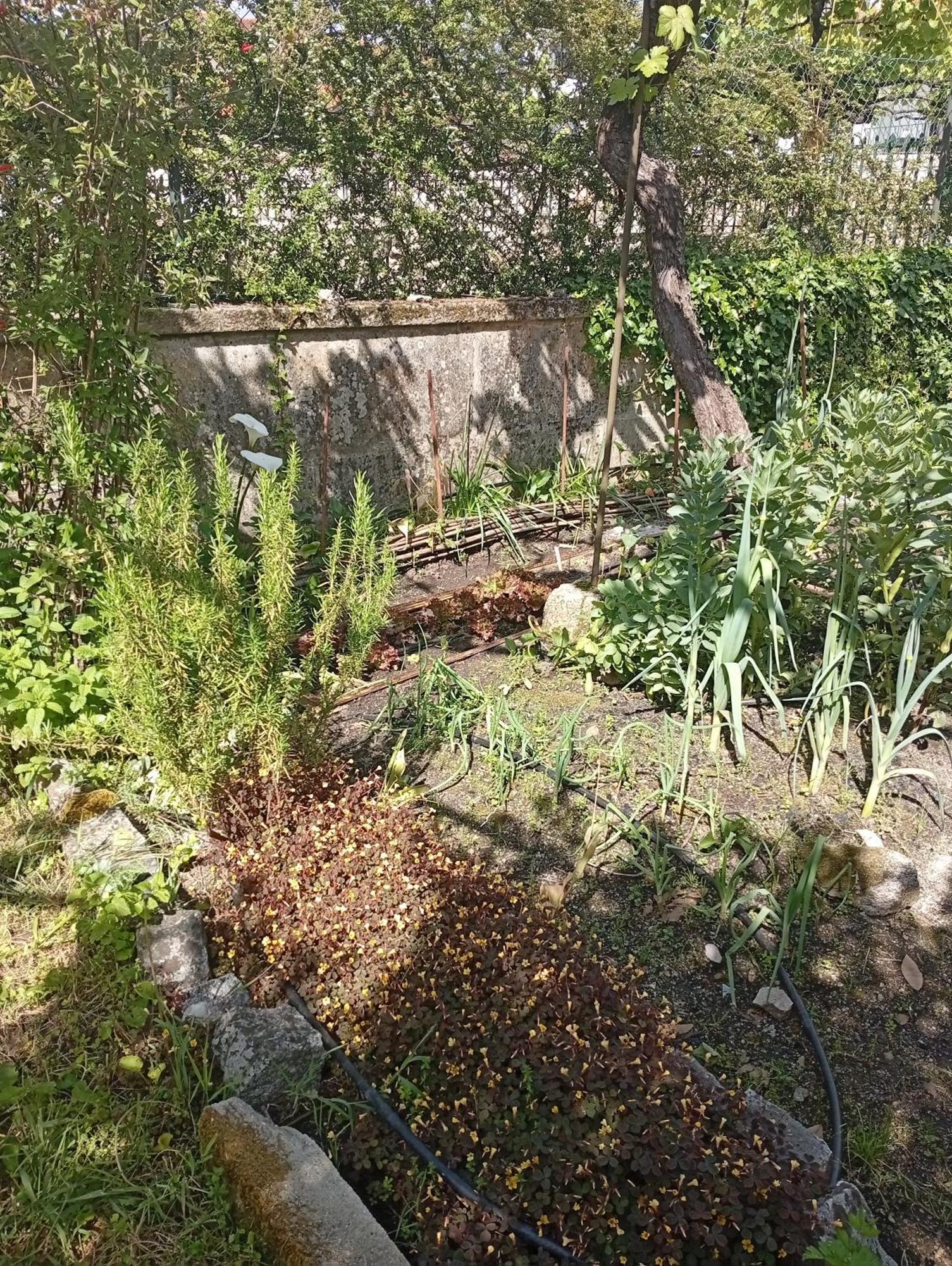 Casinha da Horta Soajo Exterior foto